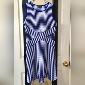 NWOT Blue and White Striped Fit And Flare Stretchy Dress